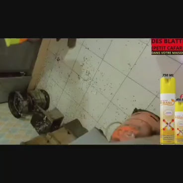 🛑  Incerticides Anti-Cafards & Salamandres -Miralkᵀᴹ – Protection Totale de Votre Maison